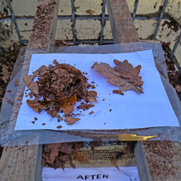 Foresteel leaf shredding effect showing 10x volume reduction on lawn