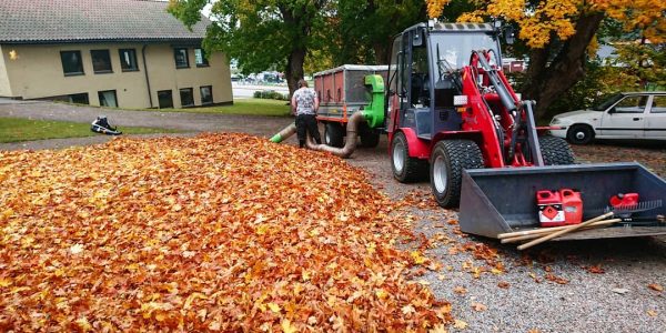 Foresteel-FT-2200-Leaf-Trailer-vacuuming-pile-of-leaves
